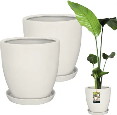 Zdjęcie produktu dla KOTARBAU® Zestaw 2 doniczek ze spodkiem Bialy ? 31 cm Wysokosc: 30 cm Szkliwiona doniczka ceramiczna Ceramiczna duza doniczka na rosliny Doniczka na kaktus ze spodkiem Doniczka na kaktus ze spodkiem Ceramiczne doniczki na kwiaty
