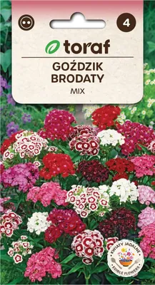 Immagine prodotto di Garofano barbuto Mix 1G Semi di fiori Garofani multicolori