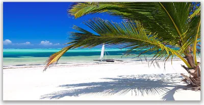 Imagen del producto de Cuadros decorativos para pared, tipo lienzo, de 120x60 cm. Impresión artística sobre lienzo, con motivos de playa, palmeras y paisajes