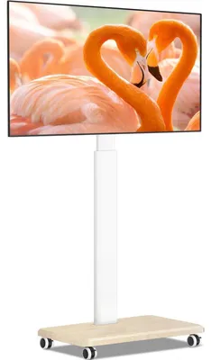 Image de Support TV mobile, réglable en hauteur et pivotant, pour écrans de 32 à 65 pouces, jusqu'à 40 kg