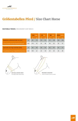 Produktbild von Schockemöhle Sports Kandare Venice Schwarz / Lack / Weiß / Silber VB
