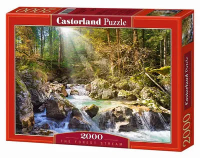 Immagine prodotto di Puzzle Castorland 2000 elementów - Leśny Strumyk