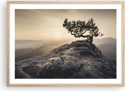 Produktbild von Gerahmtes Poster - Rahmen in heller Eiche - Alt Kiefer Berge - 70x50 cm - Wand Bild - Wanddeko - Wandbilder - Kunstposter - Wandposter - Bilderrahmen - Bilder - Kunstdruck - Wandbild - P2NAA70x50-4334