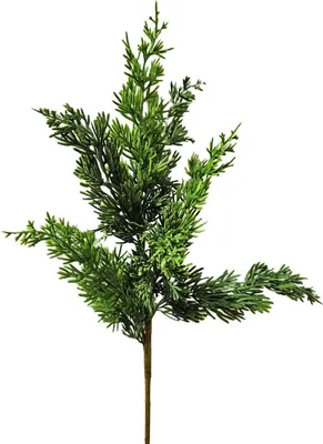 Produktbild von artplants.de Künstlicher Zweig Wacholder STURNYN, grün, 50cm - Deko Wacholderzweig