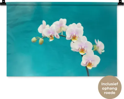 Produktbild von MuchoWow® Wandteppich Wandbehang Orchidee - Blumen - Pflanze - Weiß - Lila 60x40 cm Tapisserie Dekoration Wandtuch - Wanddekorationen