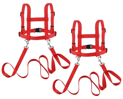 Immagine prodotto di Set di 2 cavalli a molla per bambini, ideali per giocare