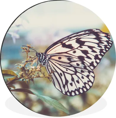 Produktbild von MuchoWow® Aluminium Wandkreis Schmetterling - Blumen - Frühling Ø 60 cm Wanddeko Modern Wohnzimmer - Wand Kreis - Wandbild - Schlafzimmer - Aluminium Bild - Kinderzimmer - Wohnzimmer Dekoration - Wandschmuck