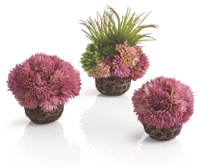 Obrázek produktu pro biOrb coral ball set purple