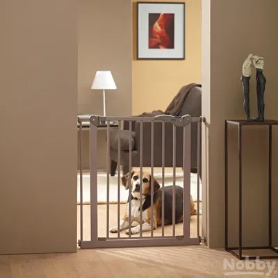 Produktbild von Nobby Verlängerung für Absperrtür Dog Barrier, Maße: 7 x 75 cm