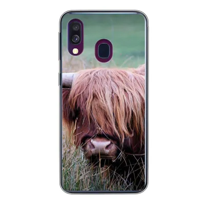 Produktbild von MuchoWow® Handyhülle Schutzhülle Hülle für Samsung Galaxy A40 Schottischer Highlander - Hörner - Gras Silikon Softcase Handy Hülle - Handy-Tasche