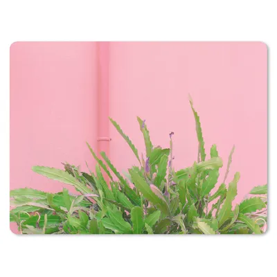 Produktbild von MuchoWow® Mauspad Mousepad Pflanze - Sommer - Rosa 23x19 cm - Mousepads - Maus Mat - Pad - Mausunterlage - Schreibtischunterlage - Mauspad