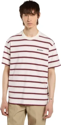 Produktbild von T-Shirt Dickies DK0A87QVC481-2FW5 für Herren