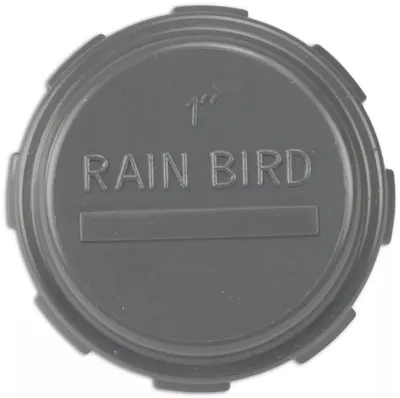 Produktbild von Rain Bird Kappe PVC 1 Innengewinde 10bar Grau