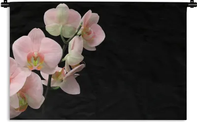 Produktbild von MuchoWow® Wandteppich Wandbehang Orchidee - Blumen - Rosa - Stilleben - Flora 120x80 cm Tapisserie Dekoration Wandtuch - Wanddekorationen - Wandtücher