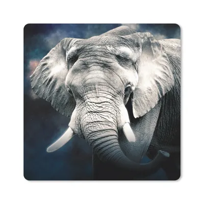 Produktbild von MuchoWow® Mauspad Mousepad Elefant - Rauchen - Zähne 30x30 cm - Mousepads - Maus Mat - Pad - Mausunterlage - Gaming