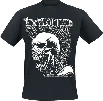 Produktbild von The Exploited T-Shirt Herren Mohican Skull schwarz S