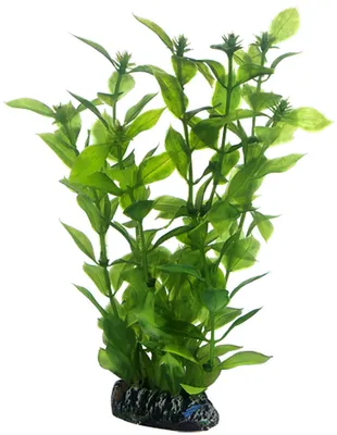 Produktbild von Hobby Hygrophila, künstliche Pflanze 20 cm