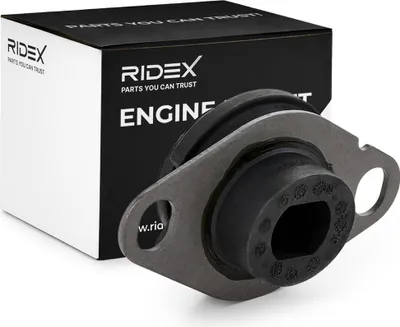 Produktbild von RIDEX Motorlager Hinten Links für RENAULT CLIO II (BB0/1/2, CB0/1/2) 247E0137