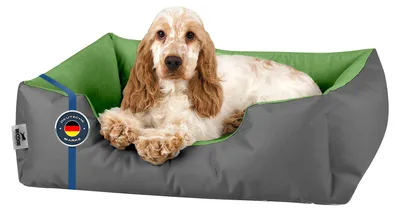 Image de Lit pour chien BedDog LUPI, canapé pour chien, coussin lavable, GREEN-ROCK (gris/vert), (S) env. 55 x 40 x 17 cm