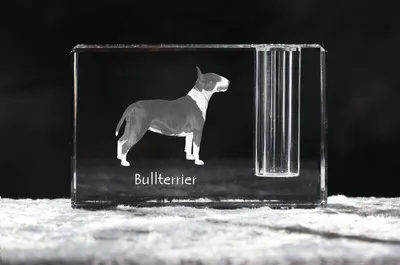 Produktbild von Bull Terrier, Bullterrier - Stifthalter, Kristallorganizer mit Hundefoto, einzigartige Schreibtischdekoration der Marke Art-Dog