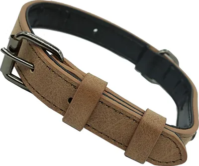 Produktbild von Verstellbare Hunde-Halsband - Robust und wetterbeständig für Welpen und Hunde aller Größen - Größe M
