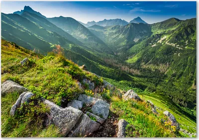 Produktbild von Tulup® Leinwandbild - 100x70 cm - Wandkunst - Drucke auf Leinwand - Leinwanddruck  - Landschaften - Grün - Berge Tatra