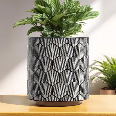 Immagine prodotto di Vaso esagonale per piante da interno, con foro di drenaggio