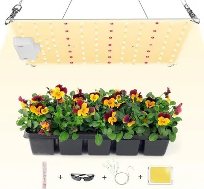 Image de Lampe LED de 50 W pour plantes, lampe de croissance à spectre complet pour la culture hydroponique et les plantes d'intérieur