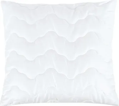 Obrázek produktu pro Výplňkový polštář s proševem - 50x50 cm 400g - Bílá