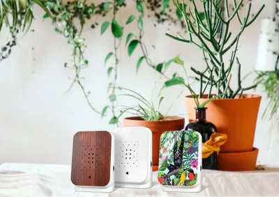 Image de Junglebox Blanc Bruits de la jungle avec détecteur de mouvement Détente