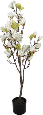 Obrázok produktu pre Clayre & Eef Umelá rastlina Magnólia 20x15x120 cm Biela Plast
