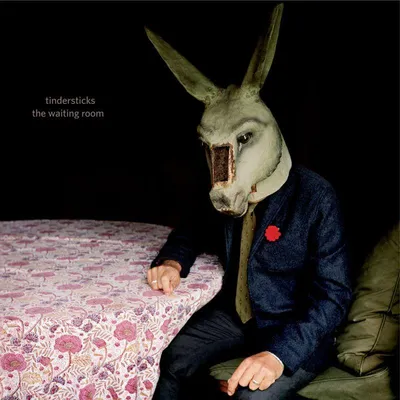 Obrázek produktu pro Tindersticks - The Waiting Room (Limited Deluxe Edition) -   - (CD / T)