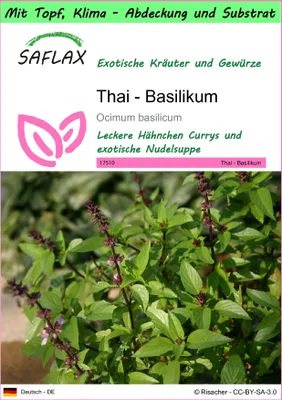 Produktbild von SAFLAX Garden to go - Thai - Basilikum - Ocimum basilicum - 200 Samen - Mit Topf, Klima - Deckel und Anzuchtsubstrat