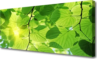 Produktbild von Tulup Leinwand-Bilder 125x50 Wandbild Canvas Kunstdruck Blätter Pflanzen
