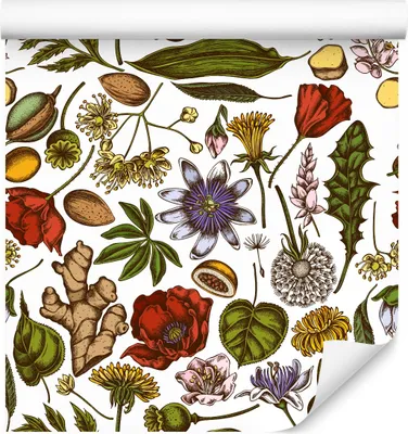 Produktbild von 10m VLIES TAPETE Rolle Natur Pflanzen Blätter Gewürze Exotisch Gemalt XXL
