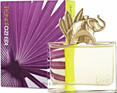 A perfume bottle and its box are displayed against a white background.