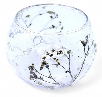 Imagen del producto de Portavelas de Vidrio floral natural Cuenco - Margarita - (8x10cm)