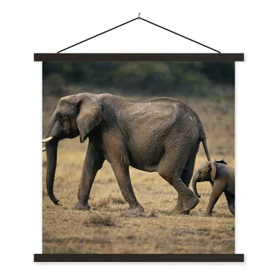 Produktbild von MuchoWow® Textilposter Elefant - Tiere - Savanne - Natur 120x120 cm mit schwarzem Rahmen - Aufhängungsset