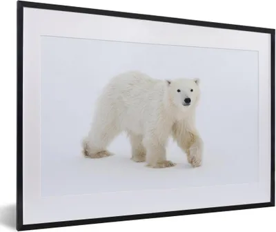 Produktbild von MuchoWow® MuchoWow® Gerahmtes Poster Eisbär - Schnee - Weiß 60x40 cm - Poster mit zchwarzem Bilderrahmen - Schlafzimmer - Plakat in Rahmen - Drucken