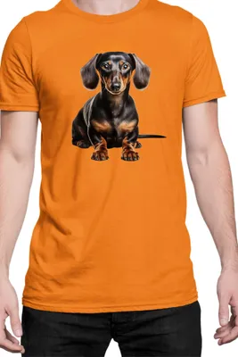 Zdjęcie produktu dla Męska Koszulka Dogs Breeds Doberman Pinscher Dog Breed 005, Man XL / Pomarańczowy