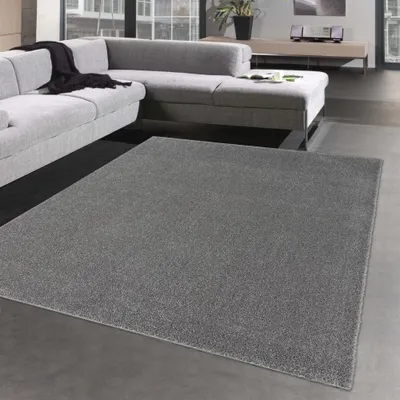 Obrázek produktu pro Koberec pro předsíň a chodbu - odolný - jednobarevný v šedé barvě Velikost - 200 x 290 cm