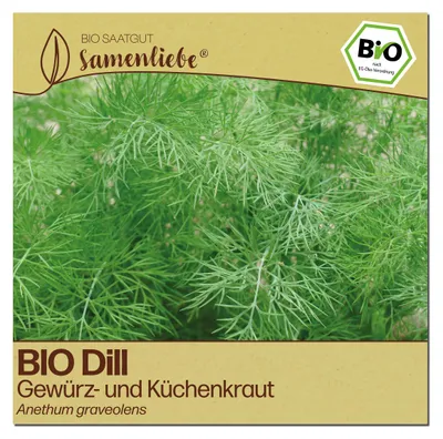 Produktbild von Samenliebe  Dill Samen | Küchenkraut & Gurkenkraut - samenfestes  Saatgut
