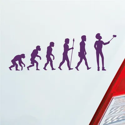 Produktbild von Auto Aufkleber Evolution Selfie Stick Handy Entwicklung Darwin 19x6,7 cm Lila Sticker Heckscheibenaufkleber