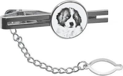 Produktbild von Art-Dog Krawattenklammer Tornjak