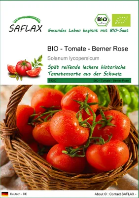 Produktbild von SAFLAX - BIO - Tomate - Berner Rose - 10 Samen - Solanum lycopersicum