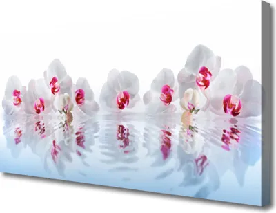 Produktbild von Tulup Leinwand-Bilder 100x50 Wandbild Canvas Kunstdruck Blumen Kunst