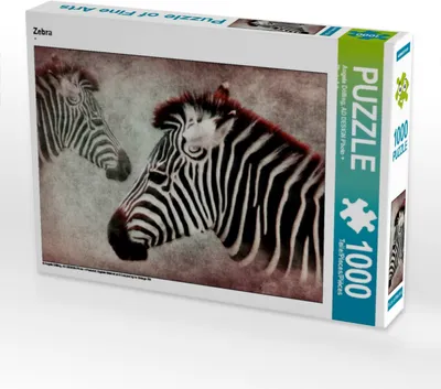 Produktbild von Calvendo Zebra 1000 Teile Puzzle quer 640x480mm, Dölling Angela; 7335459