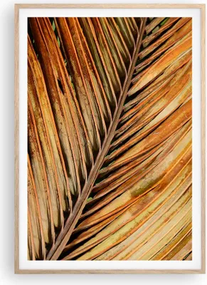 Produktbild von Gerahmtes Poster - Rahmen in heller Eiche - Orange Blatt Tropisch - 70x100 cm - Wand Bild - Wanddeko - Wandbilder - Kunstposter - Wandposter - Bilderrahmen - Bilder - Kunstdruck - P2NPA70x100-4876