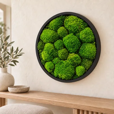 Produktbild von HAGO24 Moosbild Grün Kiefernholz Wandbild Mooswand Wanddekoration echtes konserviertes Kugelmoos rund Aufhängung an der Rückseite – Ø40cm