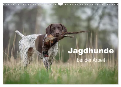 Produktbild von Jagdhunde bei der Arbeit (Wandkalender 2027 DIN A3 quer), CALVENDO Monatskalender